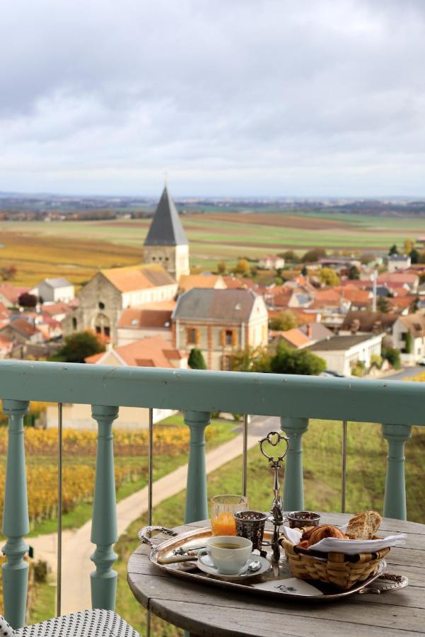 Chateau De Sacy Kültér fotó