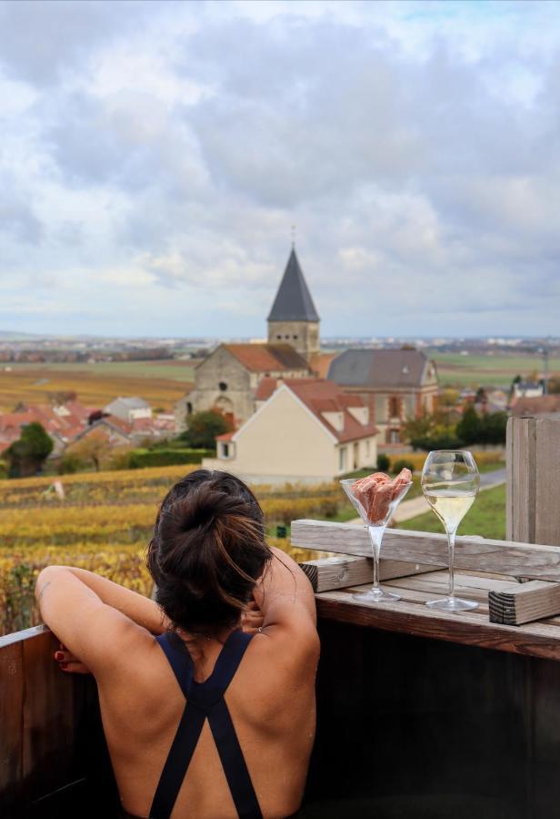 Chateau De Sacy Kültér fotó